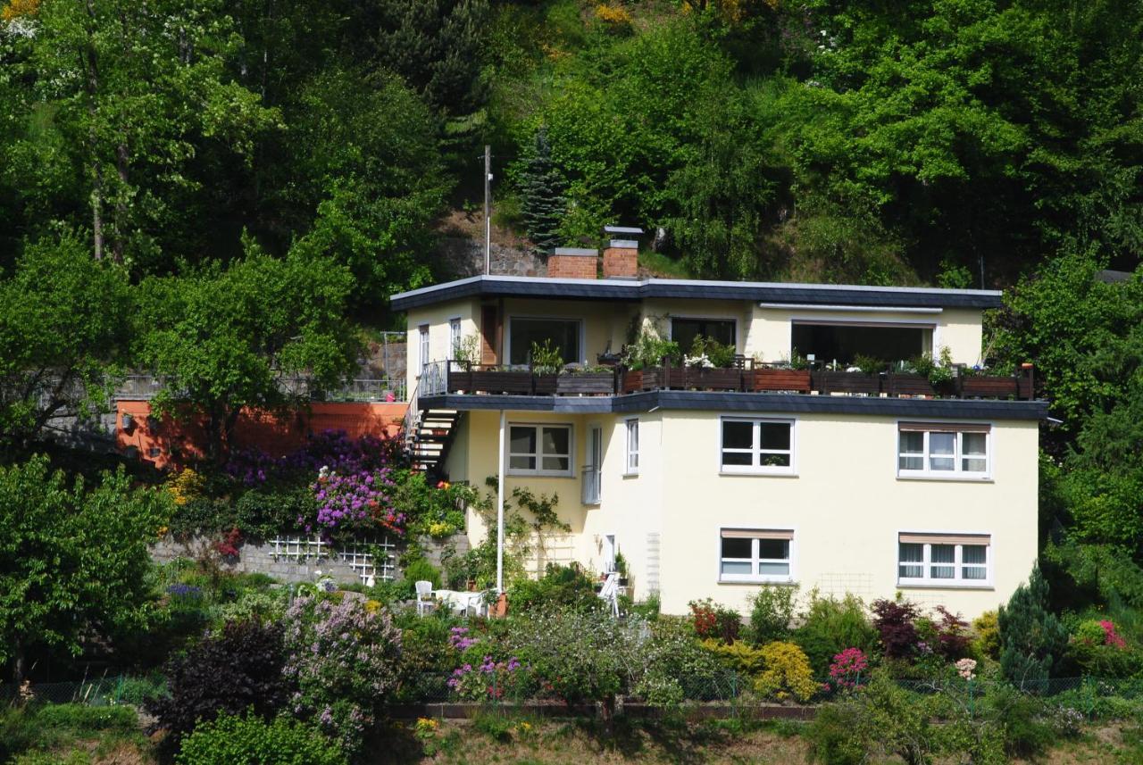 Ferienwohnung Haus Am Sommerberg Ludwigsstadt Ngoại thất bức ảnh